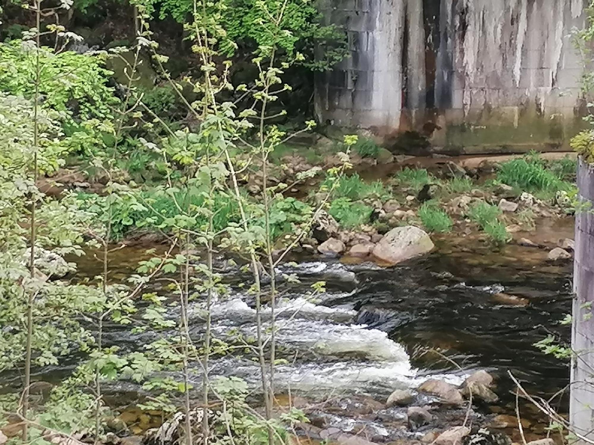 Hotylek Na Myte Hotel Harrachov Buitenkant foto